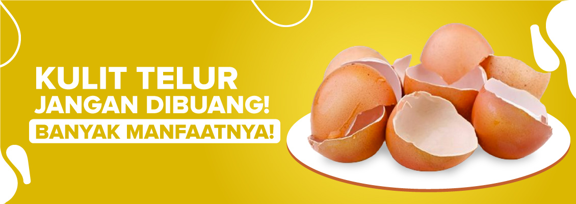 Kulit Telur Jangan Dibuang! Banyak Manfaatnya!